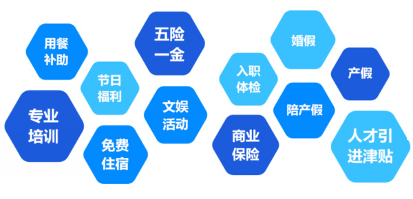提供全面、系統(tǒng)、專業(yè)的培訓和廣闊的<br>職業(yè)發(fā)展空間和提升機會
